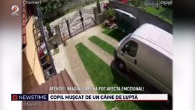 Copil mușcat de un câine de luptă